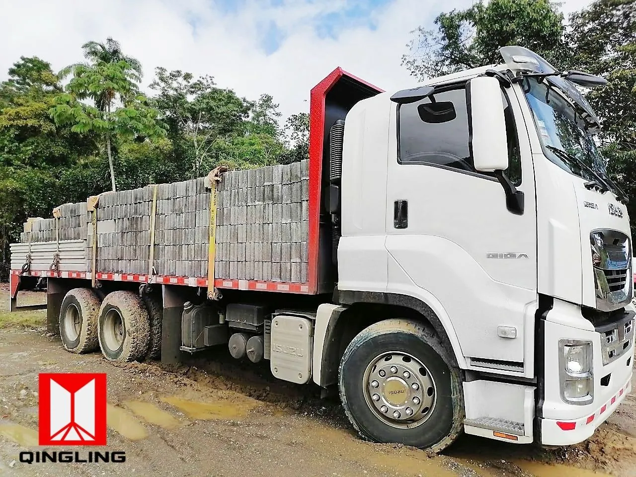 Isuzu Giga Camión 6x4 - foto 4