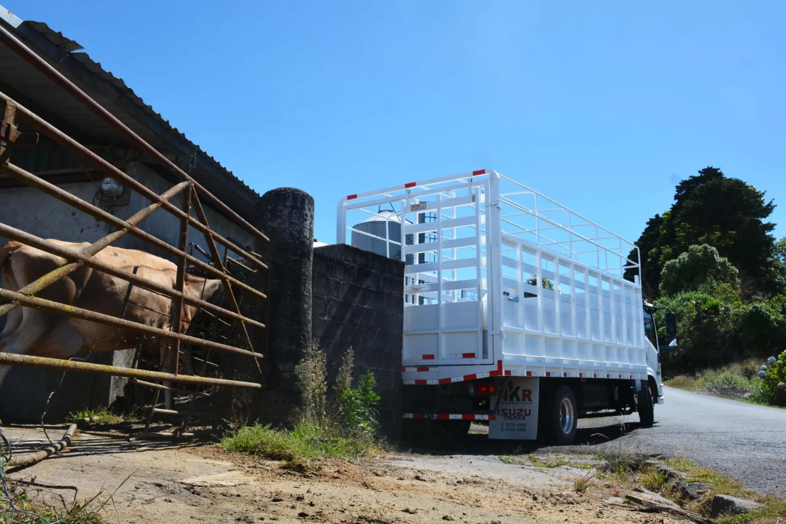 Isuzu M600 - foto 6