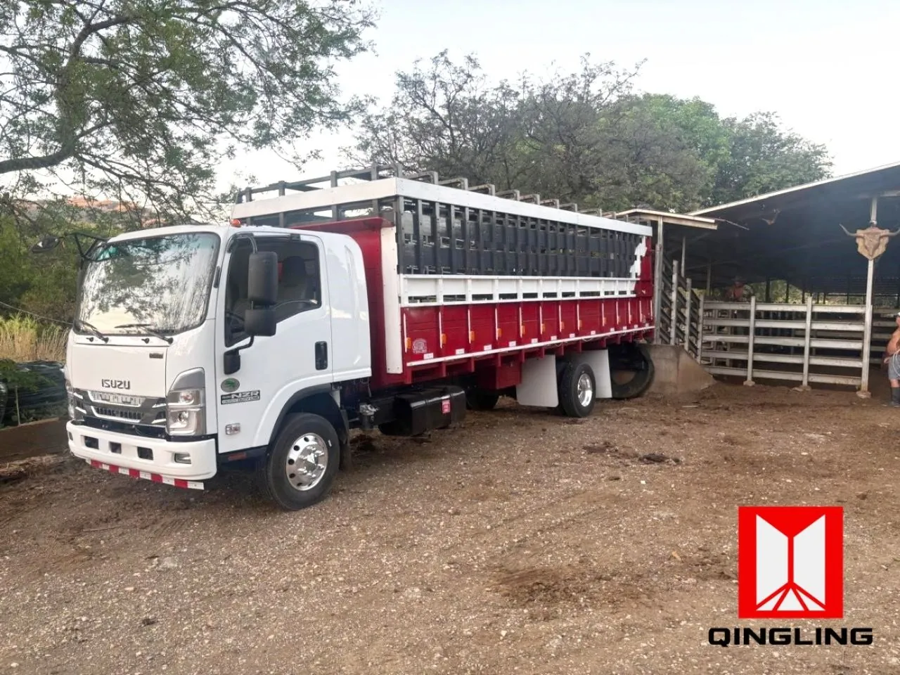 Isuzu NZR 700P Extra Cab - foto 4