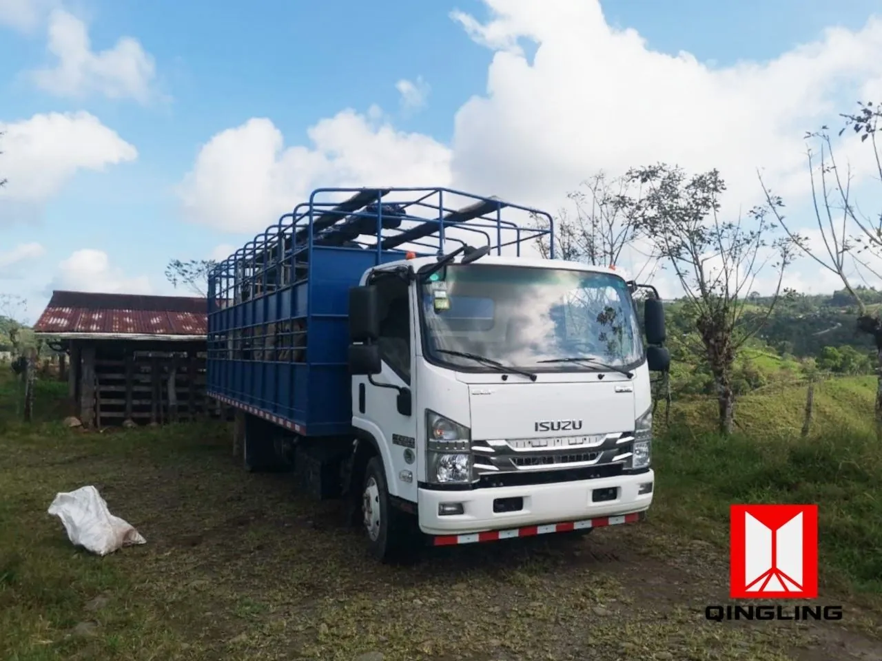 Isuzu NZR 700P - foto 6