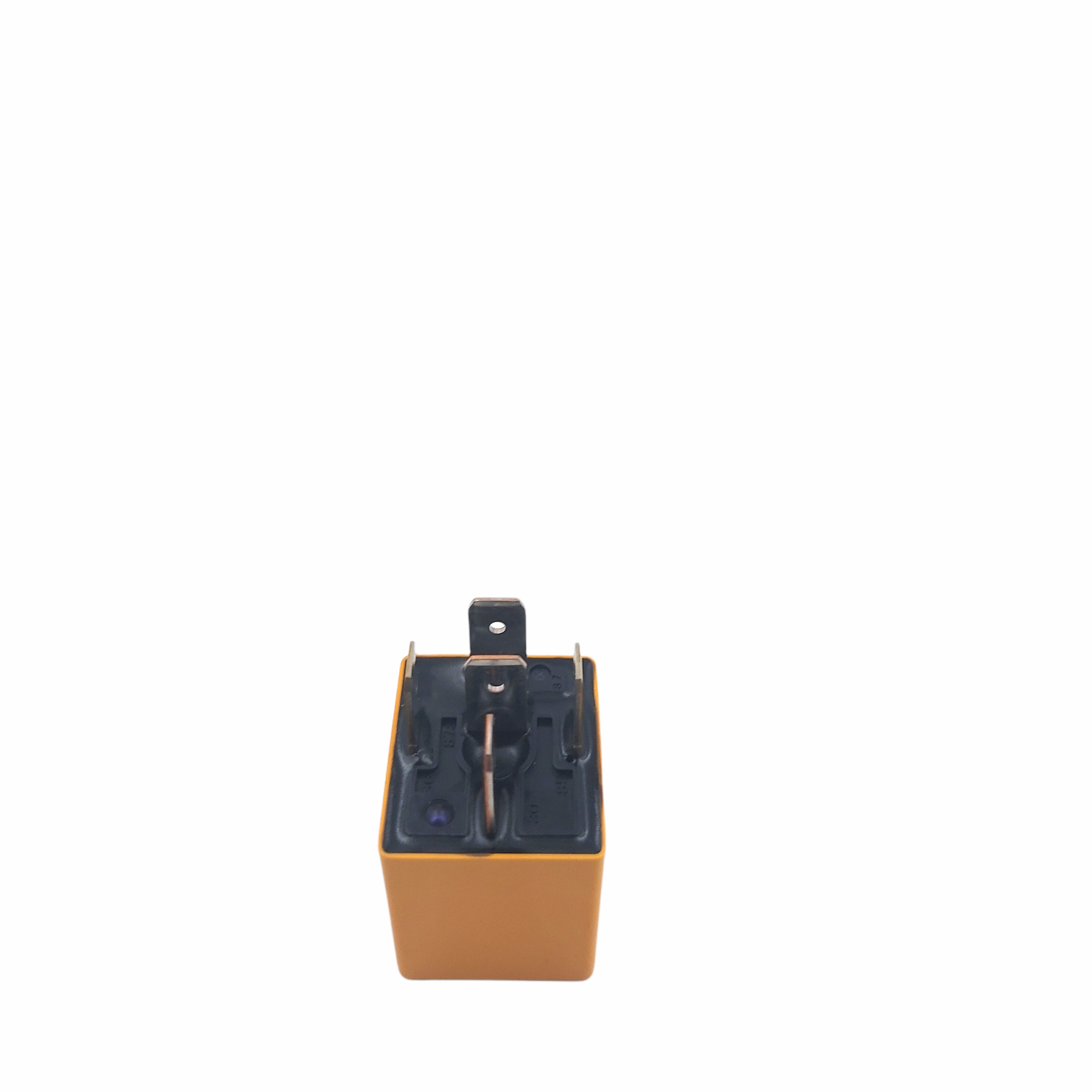 Isuzu