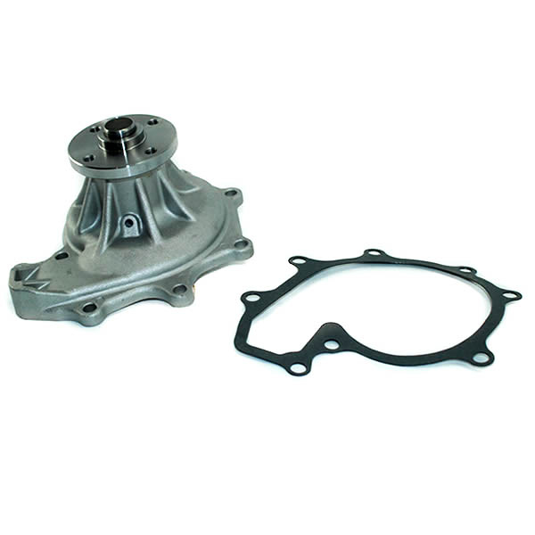 GNS