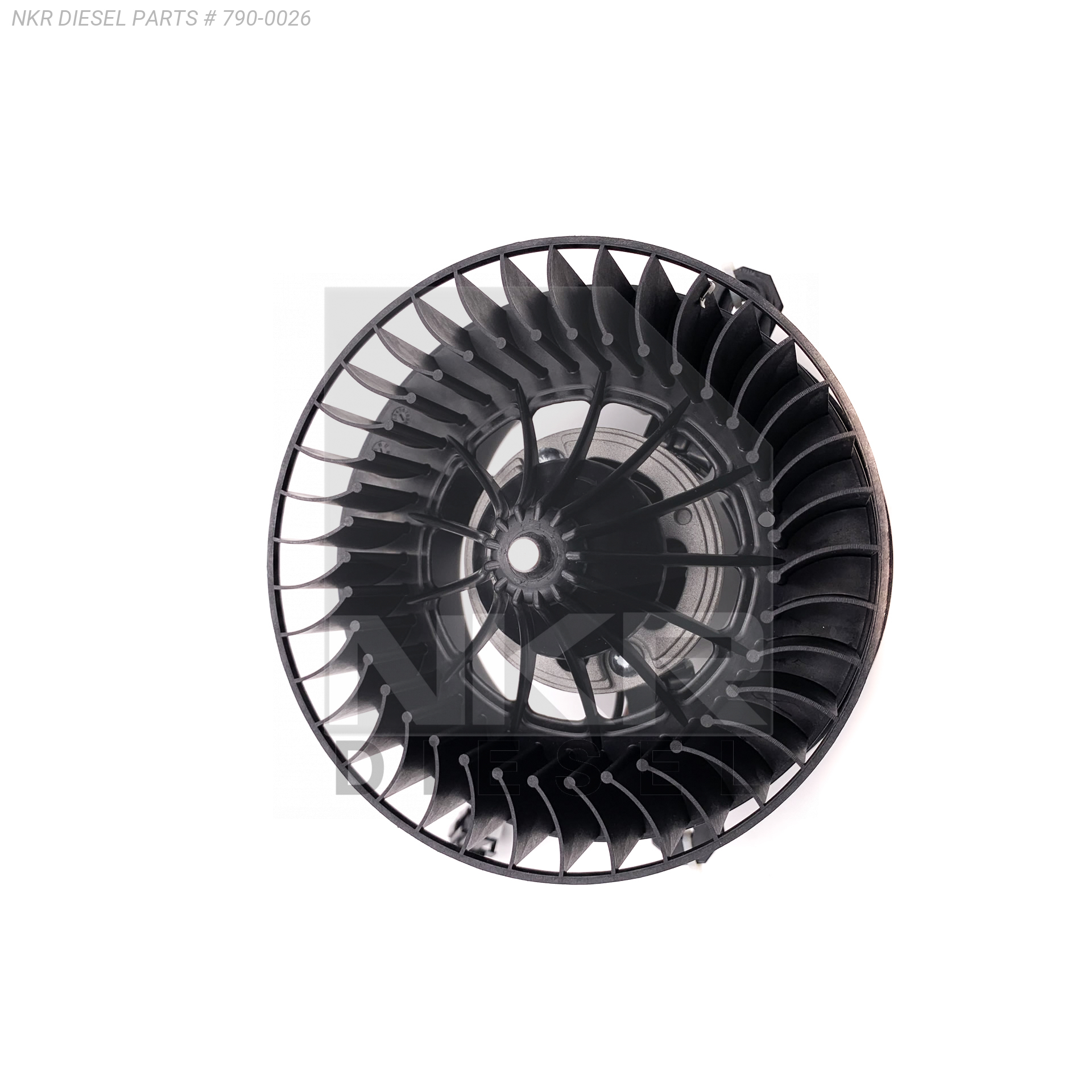 INTERNATIONAL